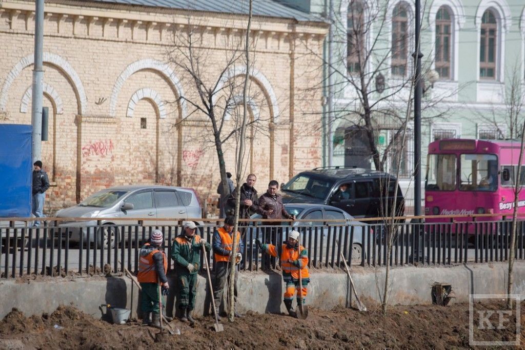 Вдоль Булака будут расти деревья